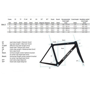 Grix.2 in 1 - Pro Disc SRAM Force eTap AXS Wide 2x12